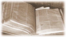 Bible Reading & Study